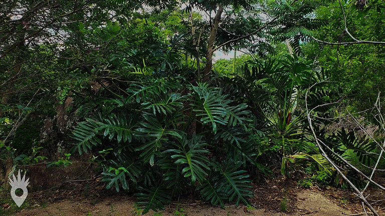 Sítio Santa Terezinha em Indaiatuba Interior de SP