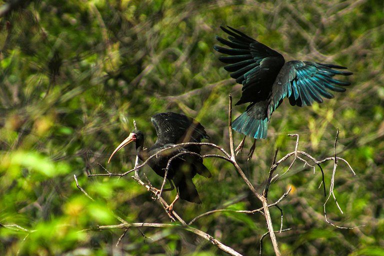 Casa Europea con Chimenea y Piscina en Indaiatuba