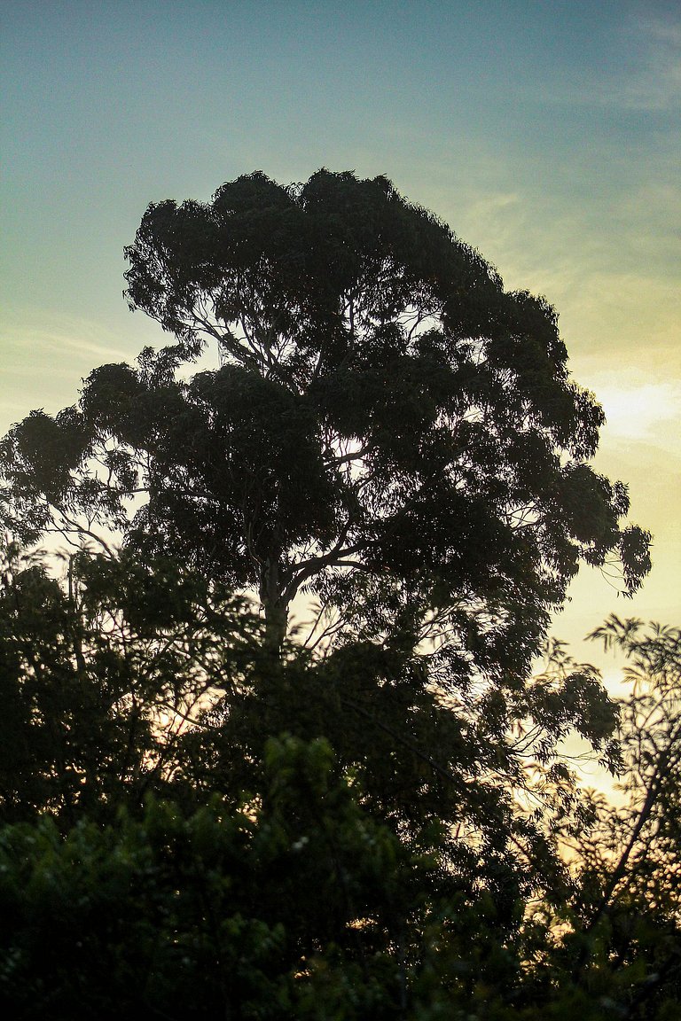 Casa Europeia com Lareira & Piscina em Indaiatuba