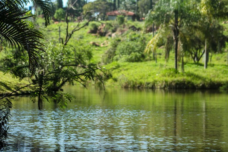 Chalé europeu com vista para natureza no interior