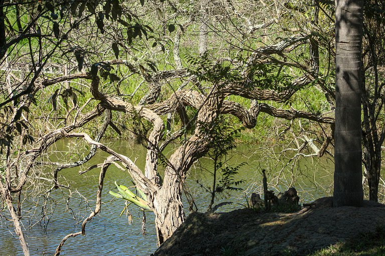 Chalet Europeo con Vistas a la Naturaleza