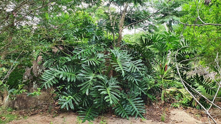 Chalé – Vila Santa Terezinha